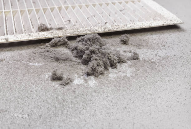 Best Best Air Duct Cleaning Company  in Green Valley, MD